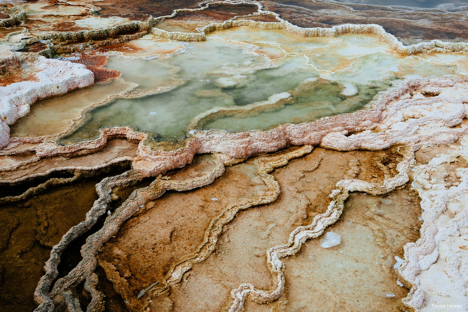 Colors of the Travertine Terrance at Yellowstone's Mammoth Hot Springs