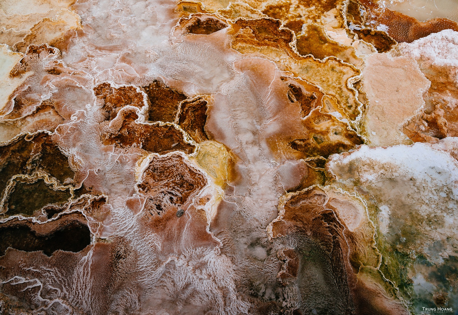 Vibrant Thermophilic Bacteria of Yellowstone's Thermal Features