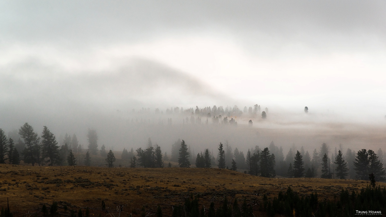 Rolling Fog through Yellowstone