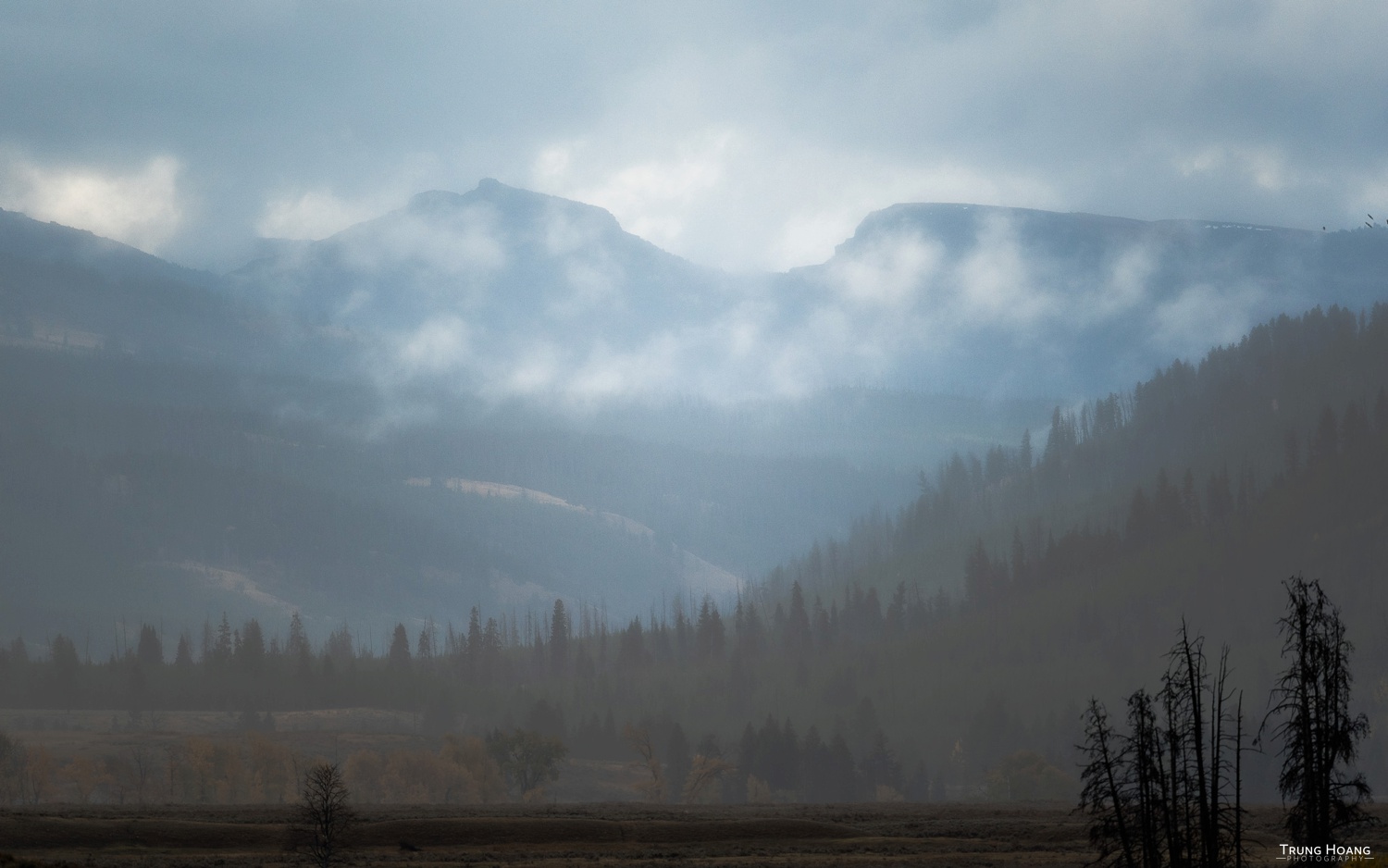 Blue Morning in Yellowstone