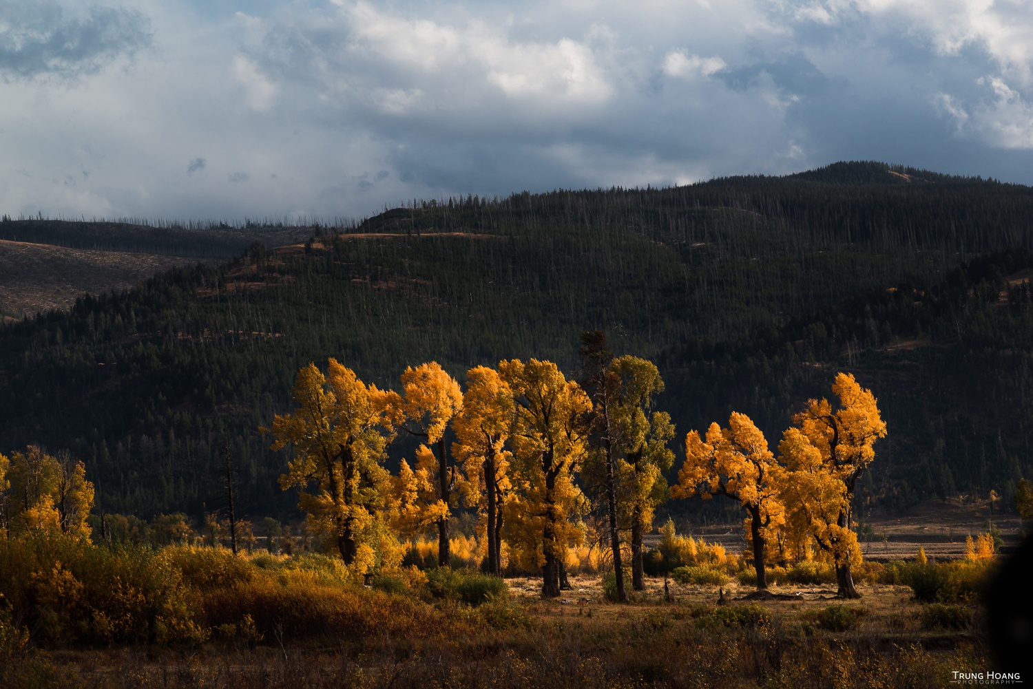 Fall in Yellowstone