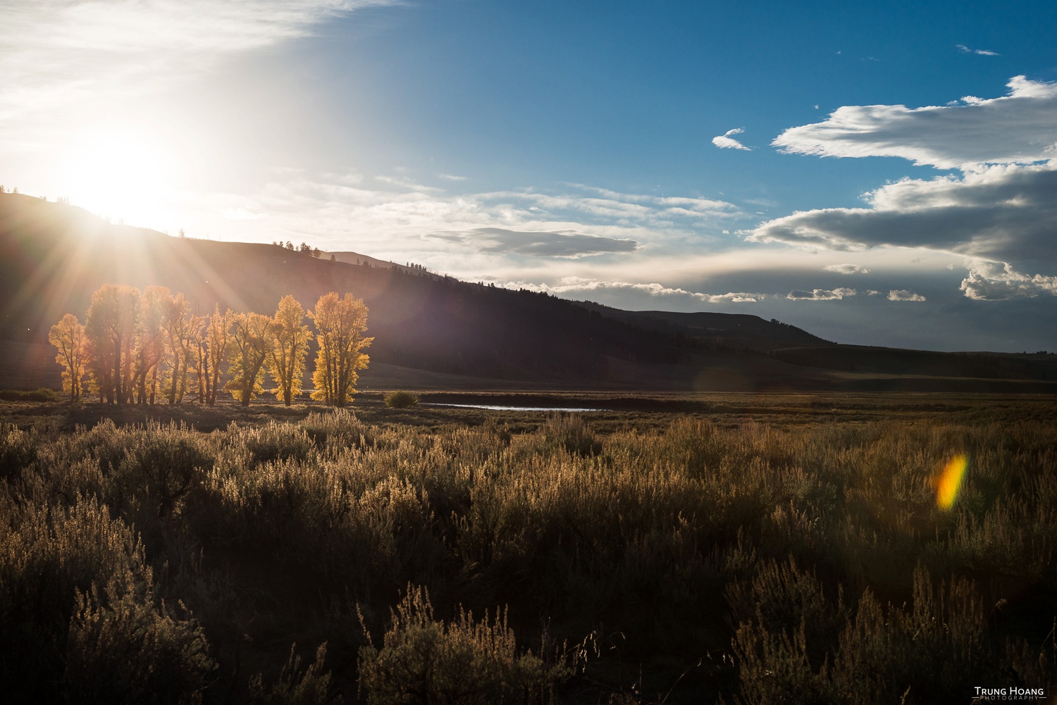 Fall Colors and Sage Brush