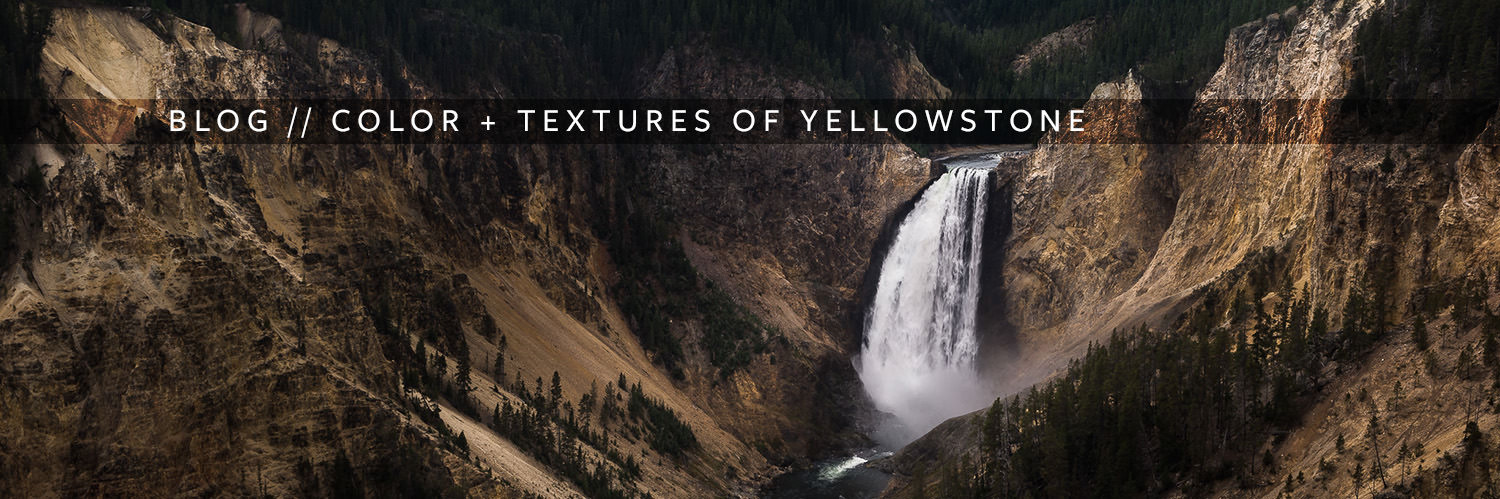 Yellowstone Blog 1