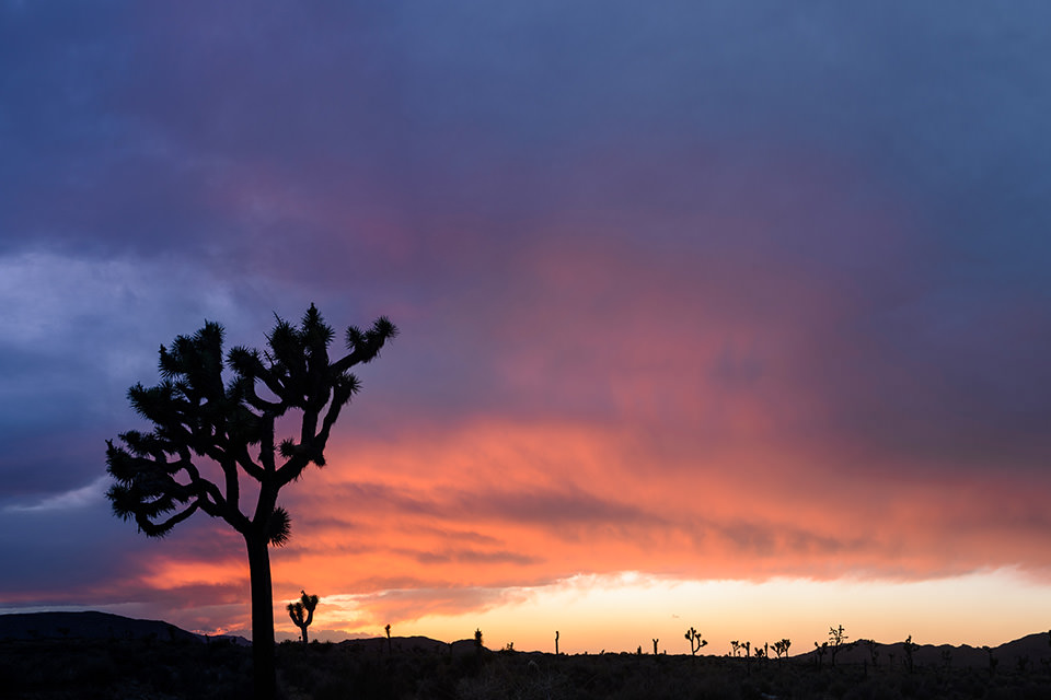  Photo by Trung Hoang Photography (www.trunghoangphotography.com) 