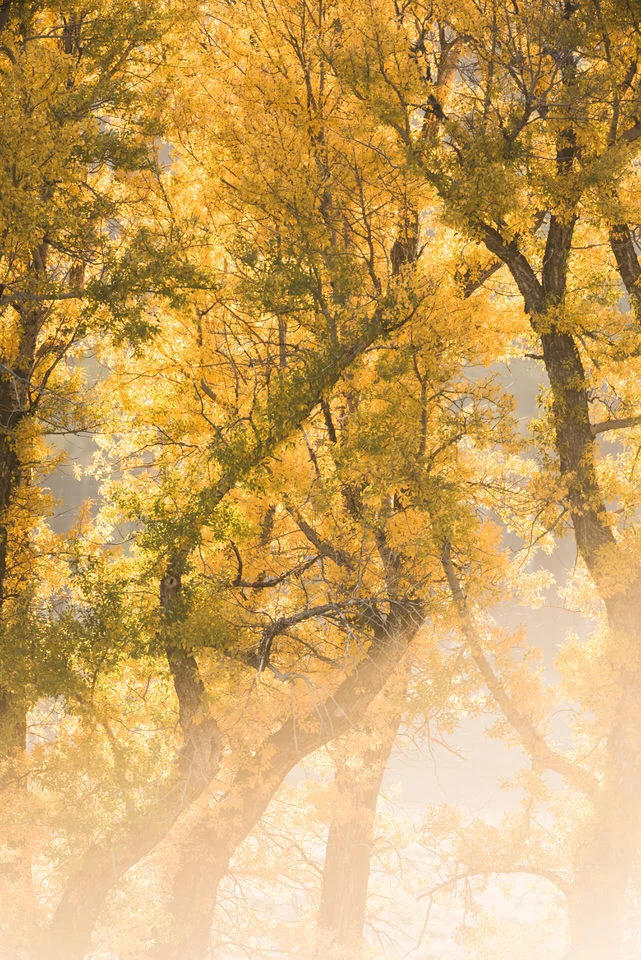  Photo by Trung Hoang Photography (www.trunghoangphotography.com) 