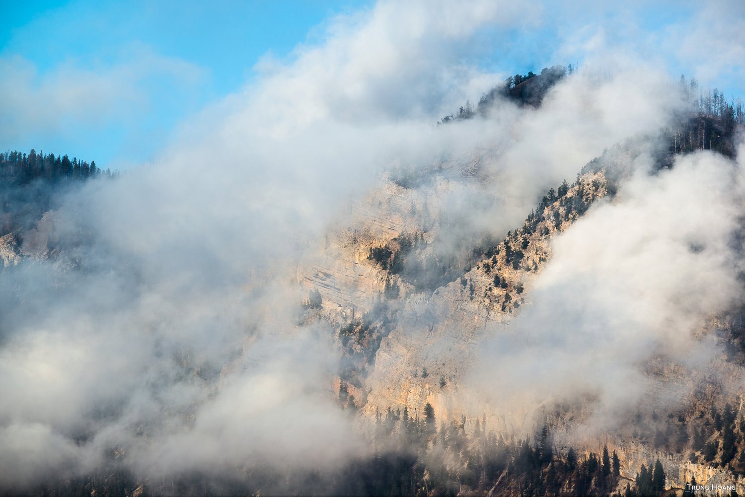 In the Clouds