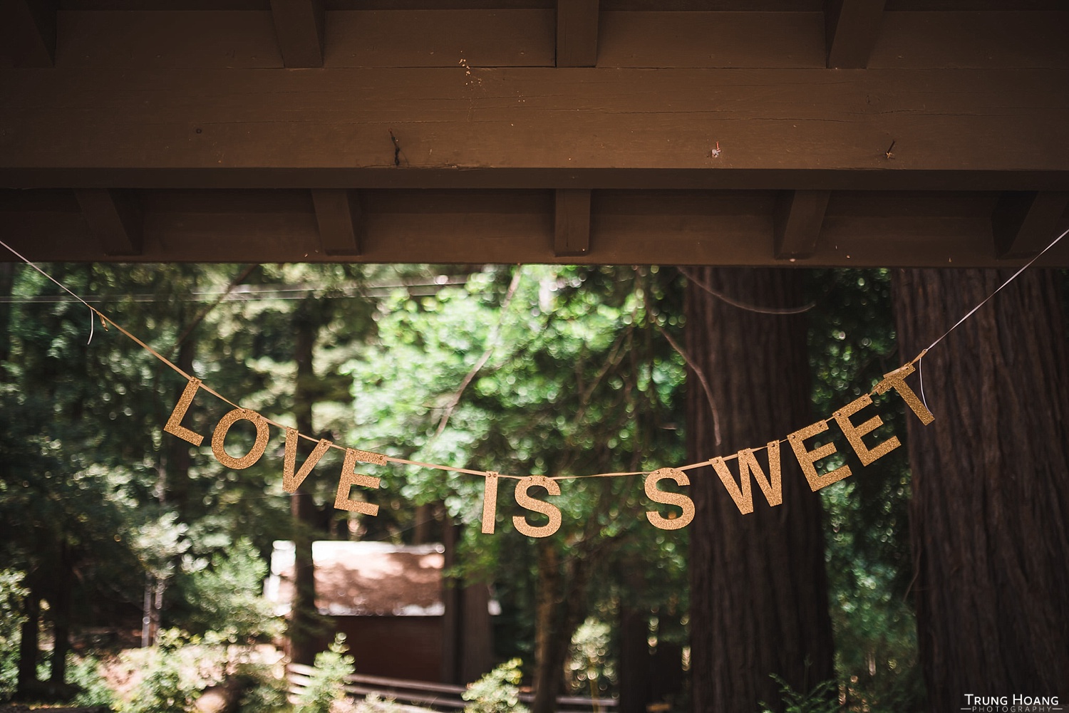 Love is Sweet Banner