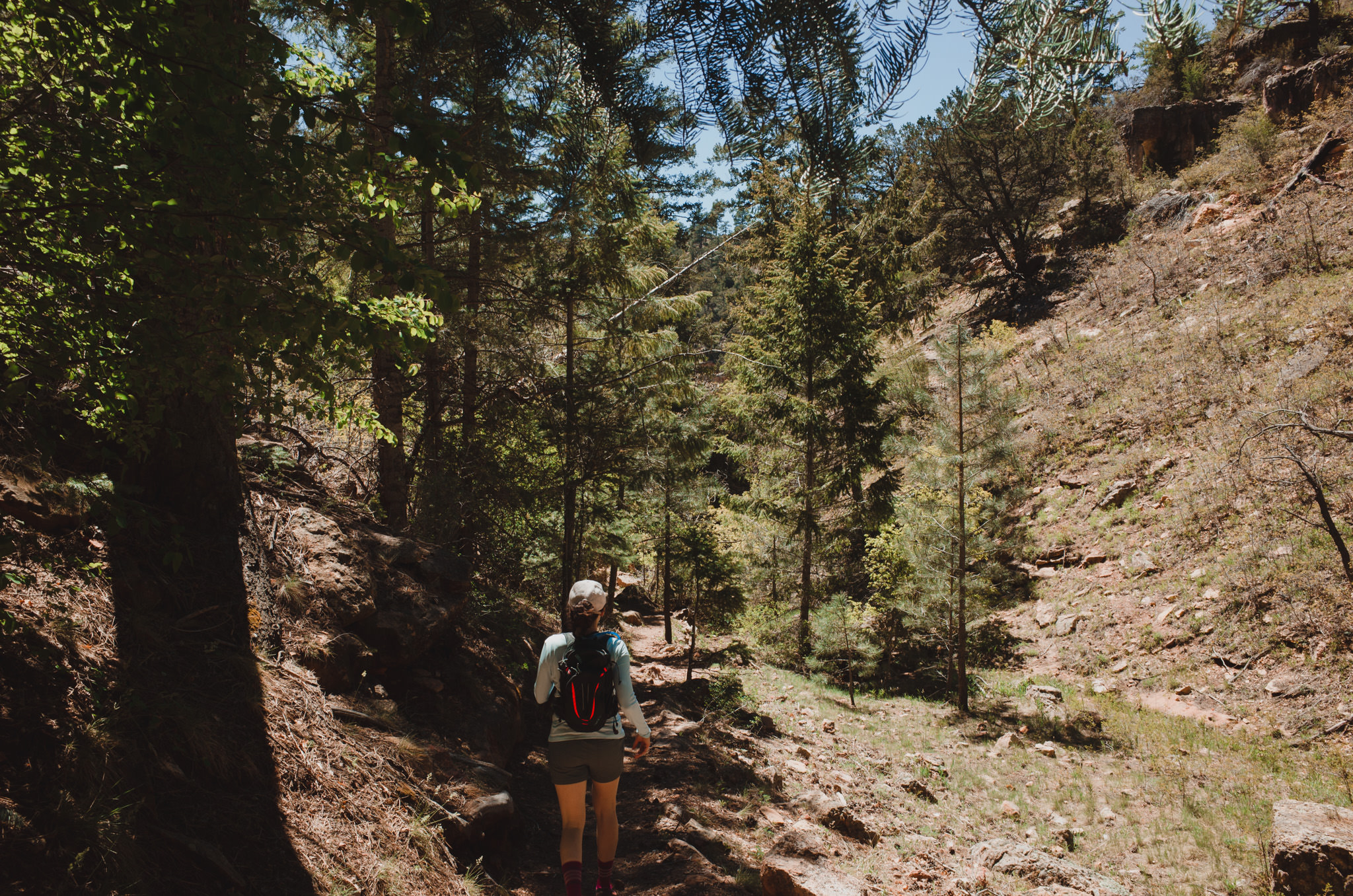 Cliff Springs Trail Grand Canyon