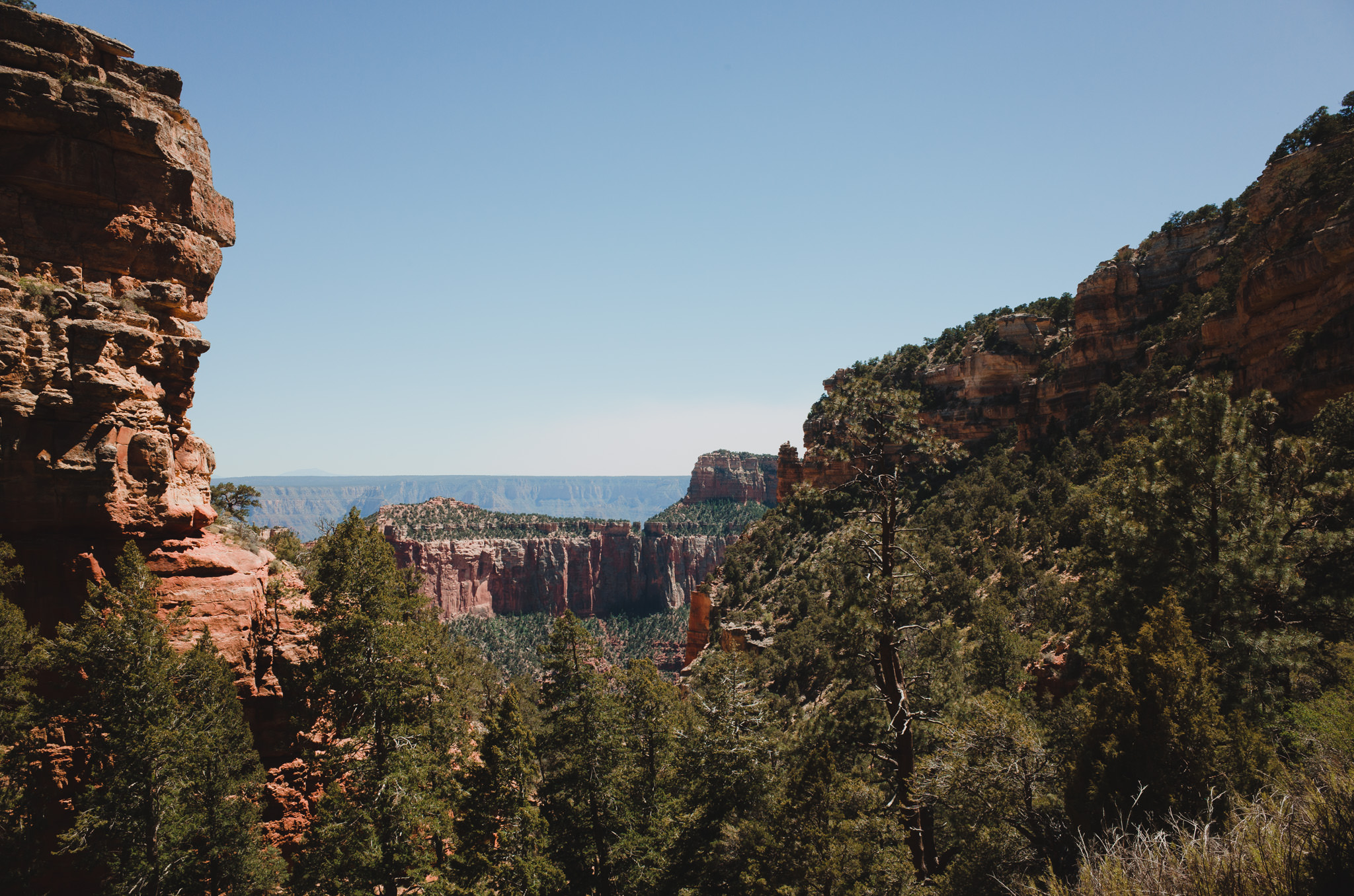 Cliff Springs Trail Grand Canyon