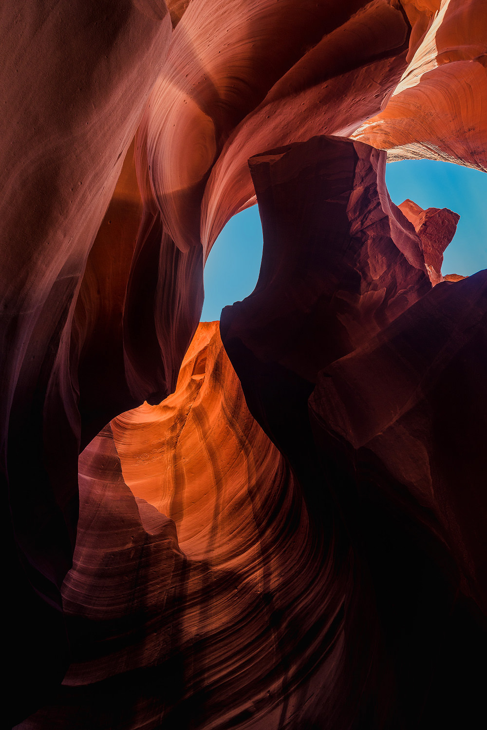 Photo by Trung Hoang (www.trunghoangphotography.com)