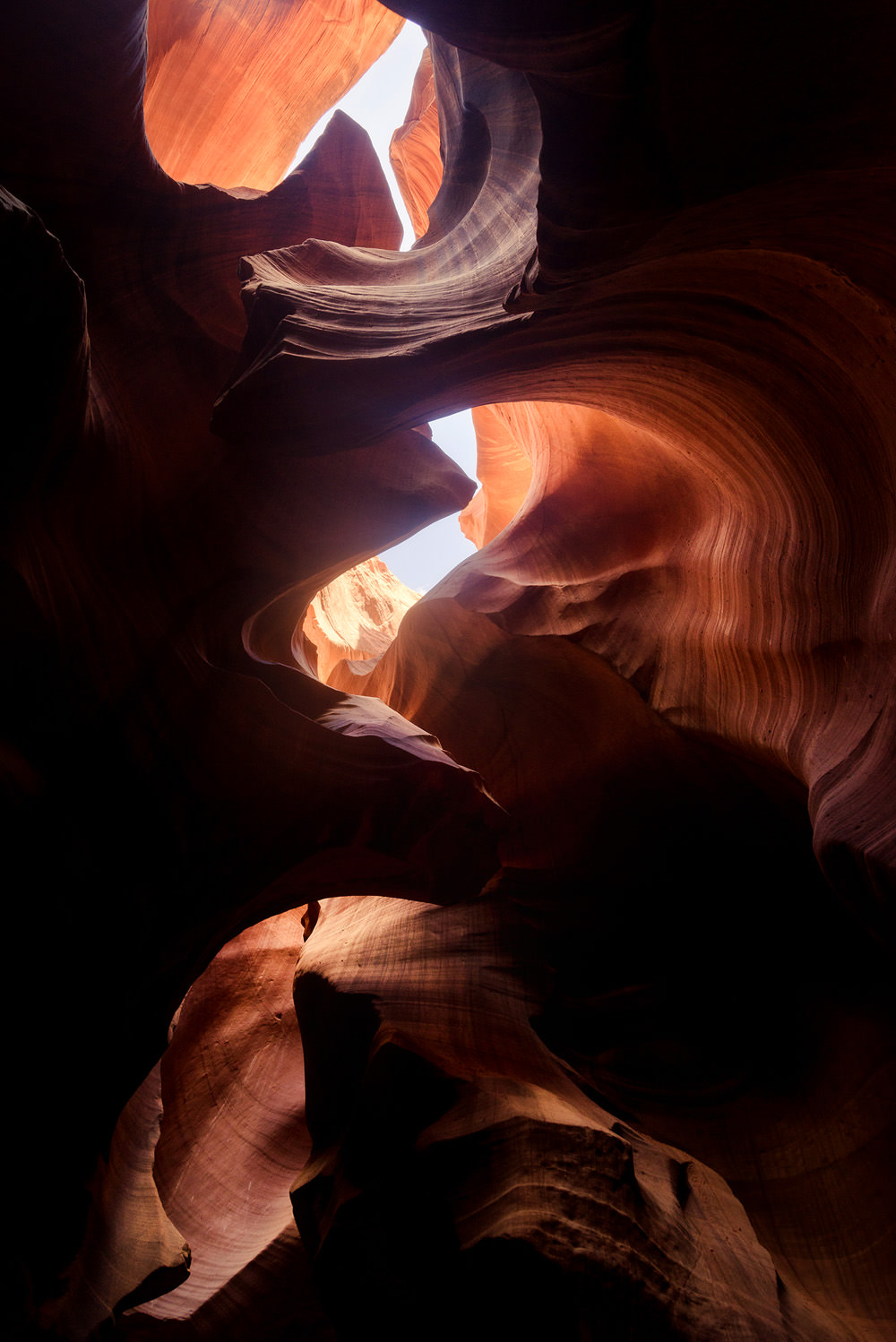 Photo by Trung Hoang (www.trunghoangphotography.com)