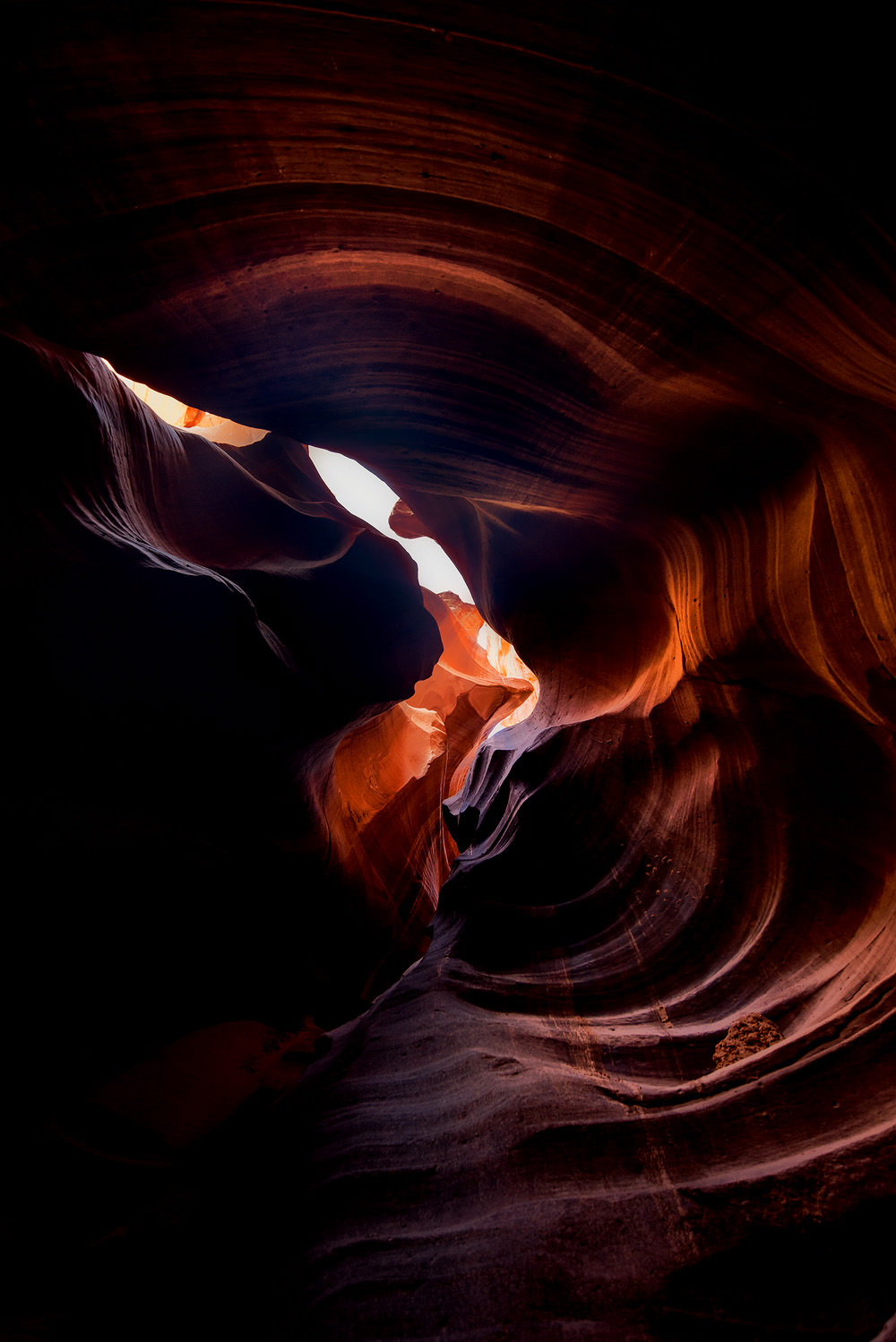 Photo by Trung Hoang (www.trunghoangphotography.com)