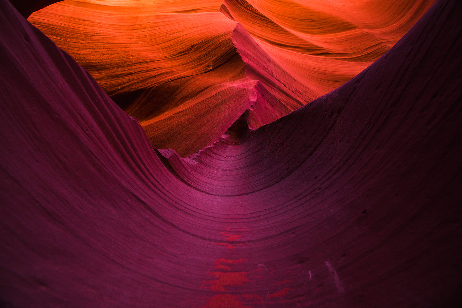 Photo by Trung Hoang (www.trunghoangphotography.com)
