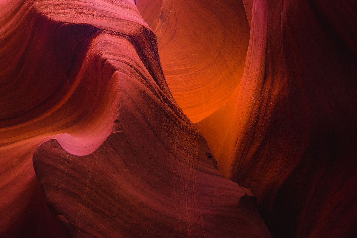 Photo by Trung Hoang (www.trunghoangphotography.com)