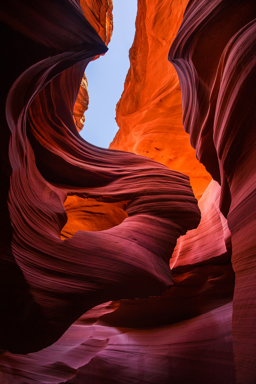 Photo by Trung Hoang (www.trunghoangphotography.com)