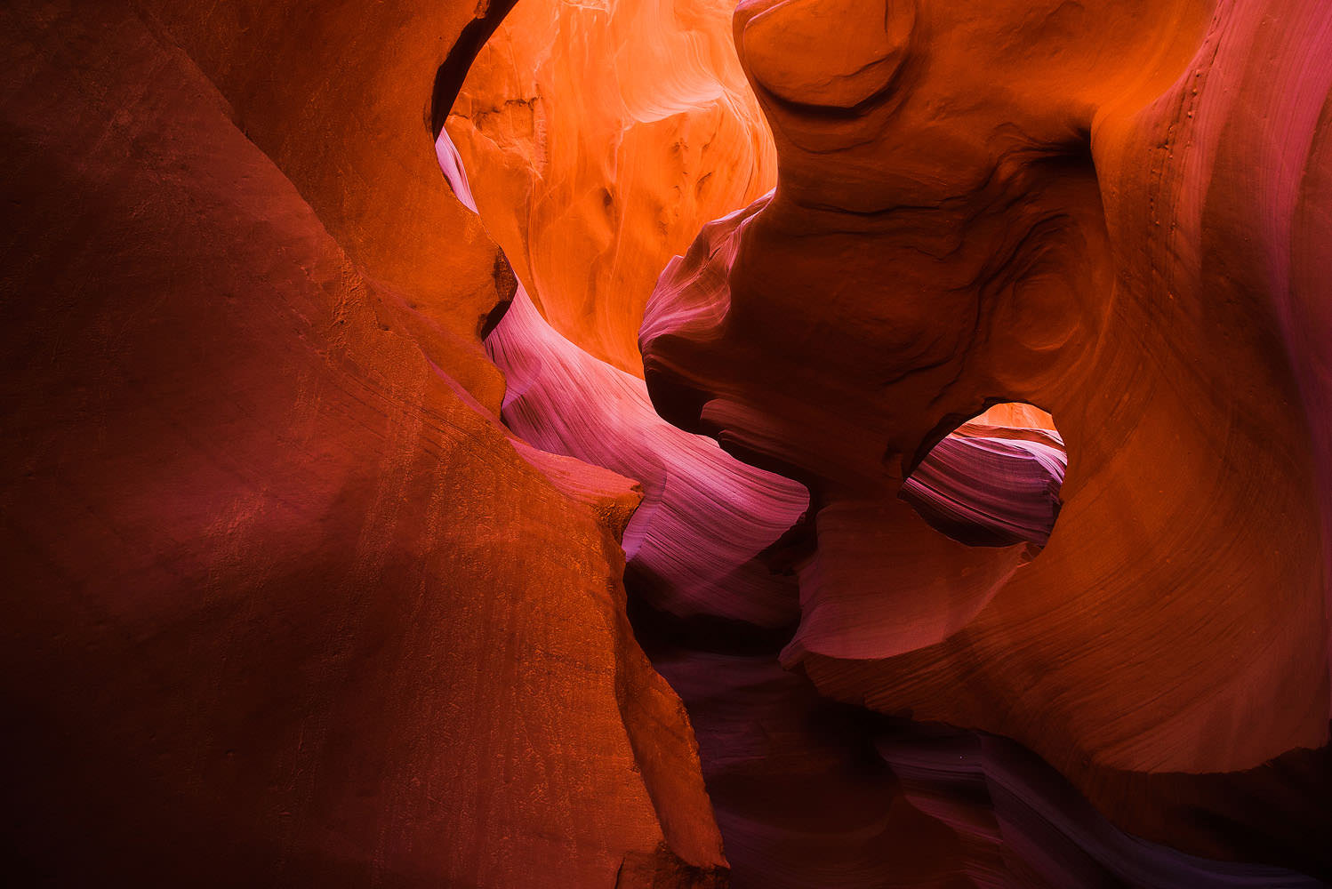 Photo by Trung Hoang (www.trunghoangphotography.com)