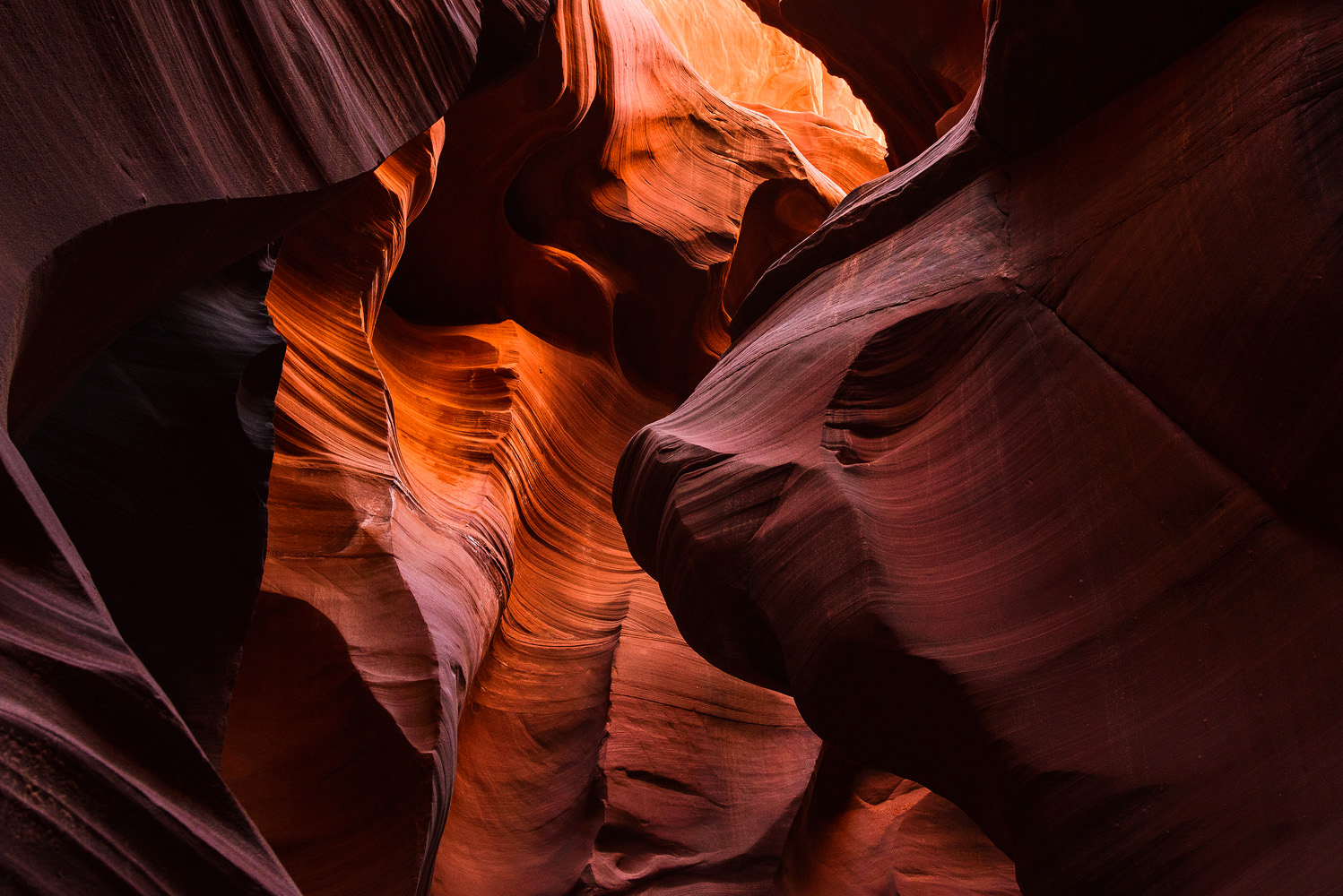 Photo by Trung Hoang (www.trunghoangphotography.com)