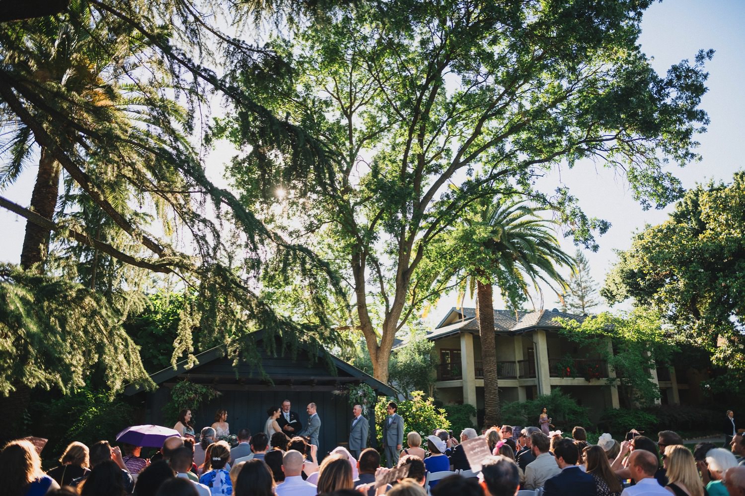 Wine & Roses Wedding Ceremony