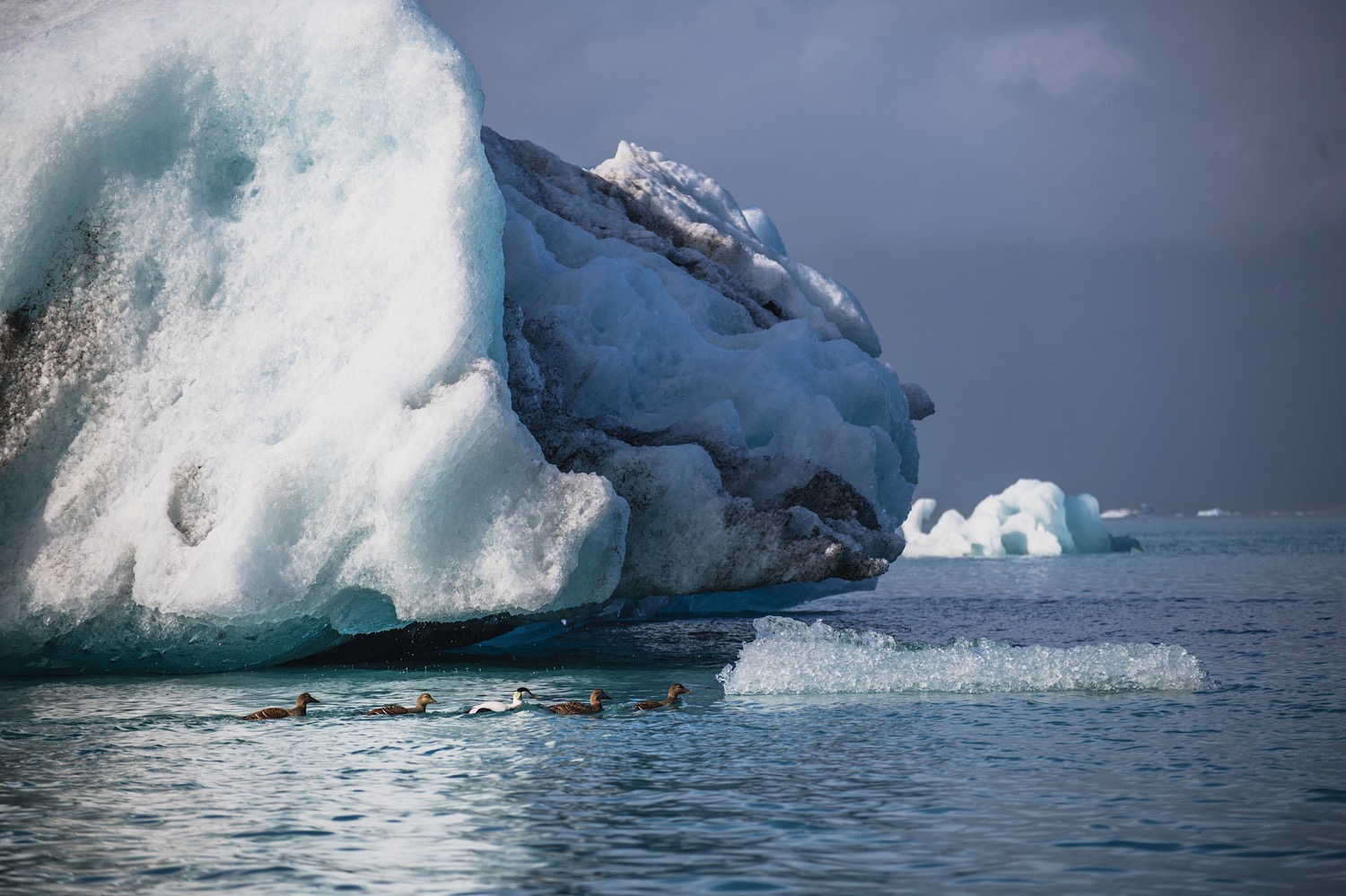  Iceland in May 2017 // Trung Hoang Photography 