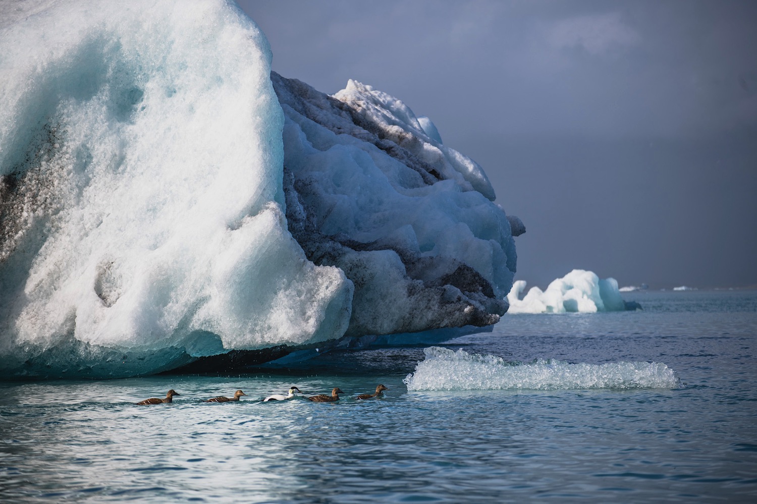 Iceland in May 2017 // Trung Hoang Photography