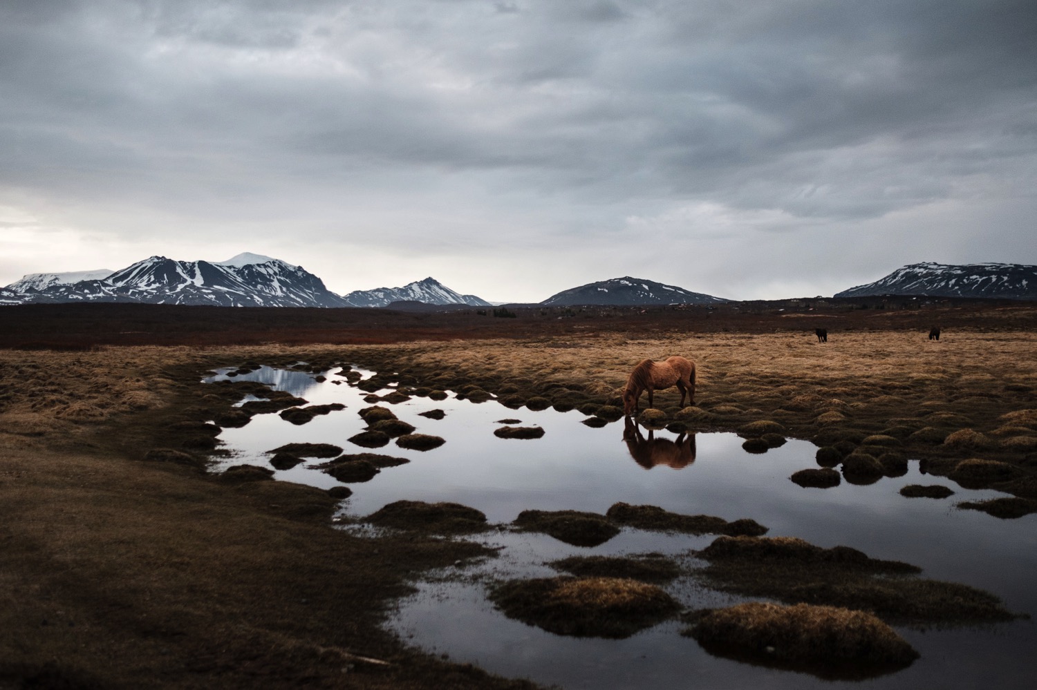 Trail to Bruarfoss - Iceland Blog Part II
Photo by Trung Hoang Photography |www.trunghoangphotography.com | San Francisco Bay Area Wedding Photographer