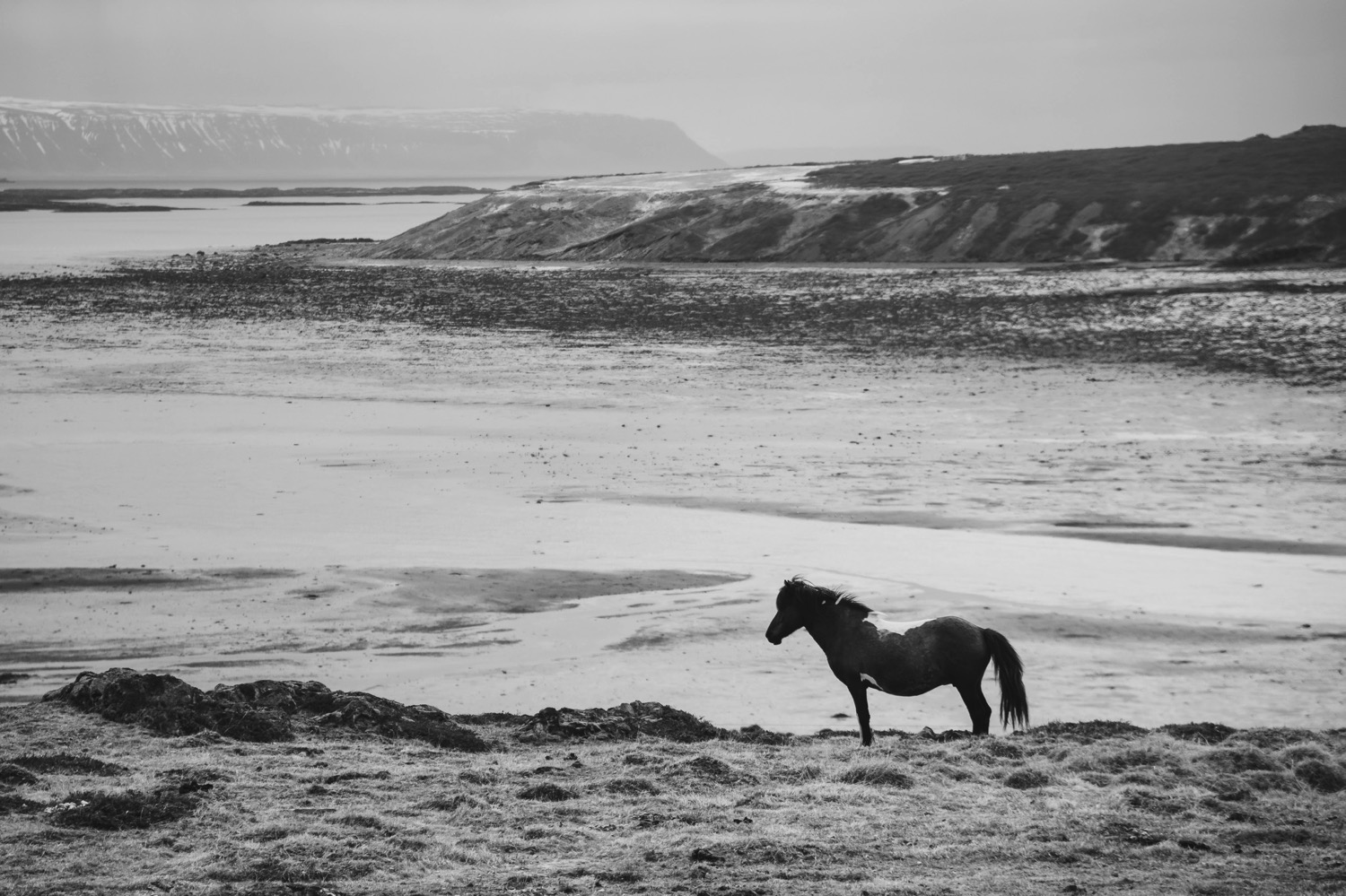 Icelandic Horse - Iceland Blog Part II
Photo by Trung Hoang Photography |www.trunghoangphotography.com | San Francisco Bay Area Wedding Photographer