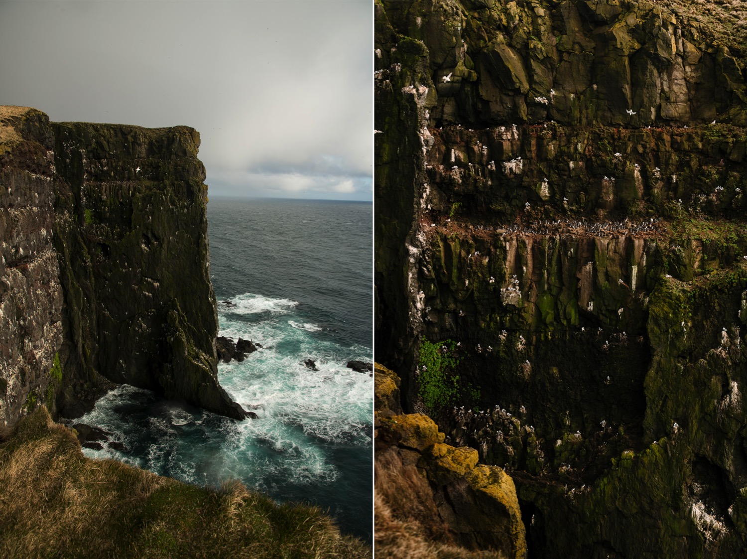  Latrabjarg - Iceland Blog Part II

Photo by Trung Hoang Photography |www.trunghoangphotography.com | San Francisco Bay Area Wedding Photographer 