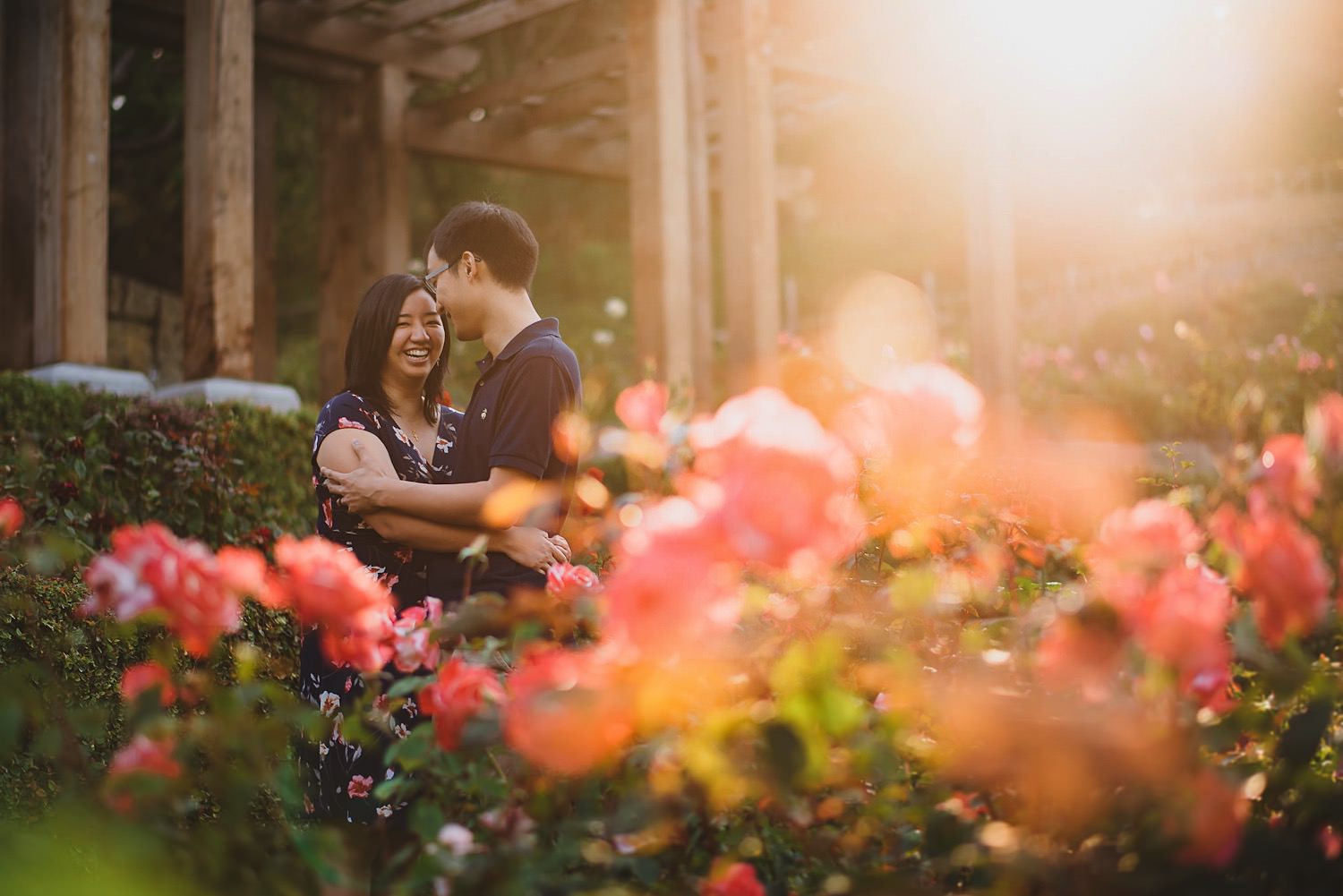 Berkeley Rose Garden Engagement Photos