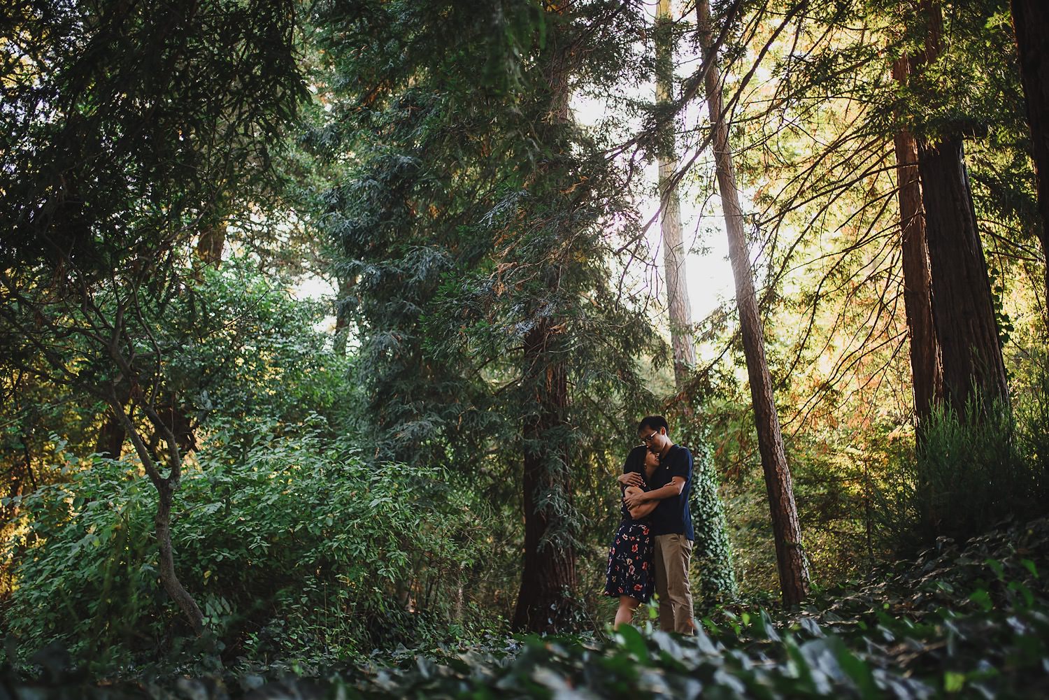 Bay Area Forest Engagement Photos