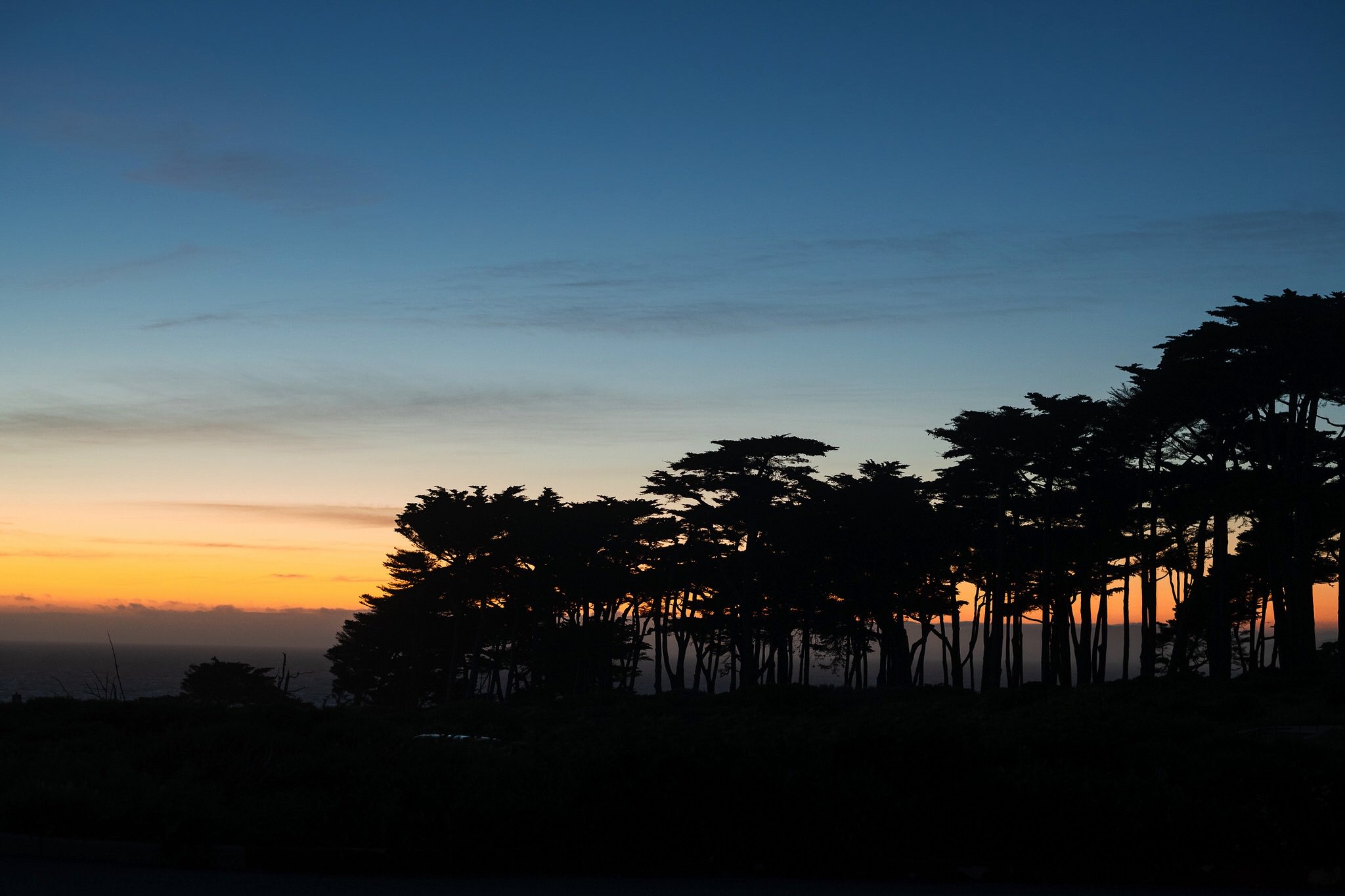 Lands End Engagement Session // Bay Area Wedding Photographer
Photo by Trung Hoang Photography |www.trunghoangphotography.com | San Francisco Bay Area Wedding Photographer