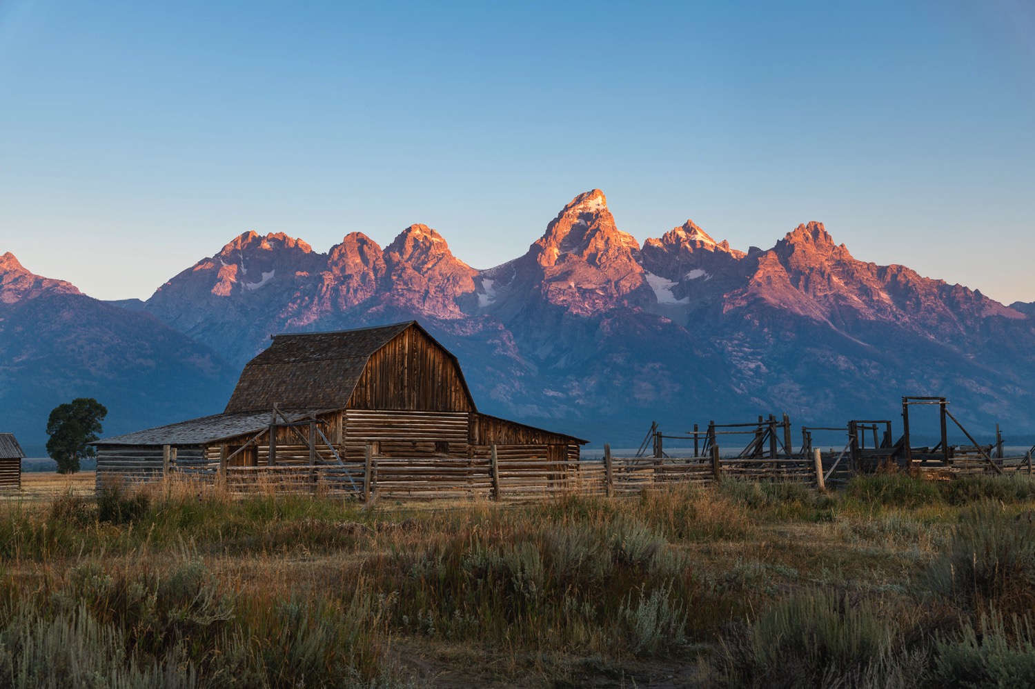 Sunrise at John Moulton�s Barn on Mormon Row