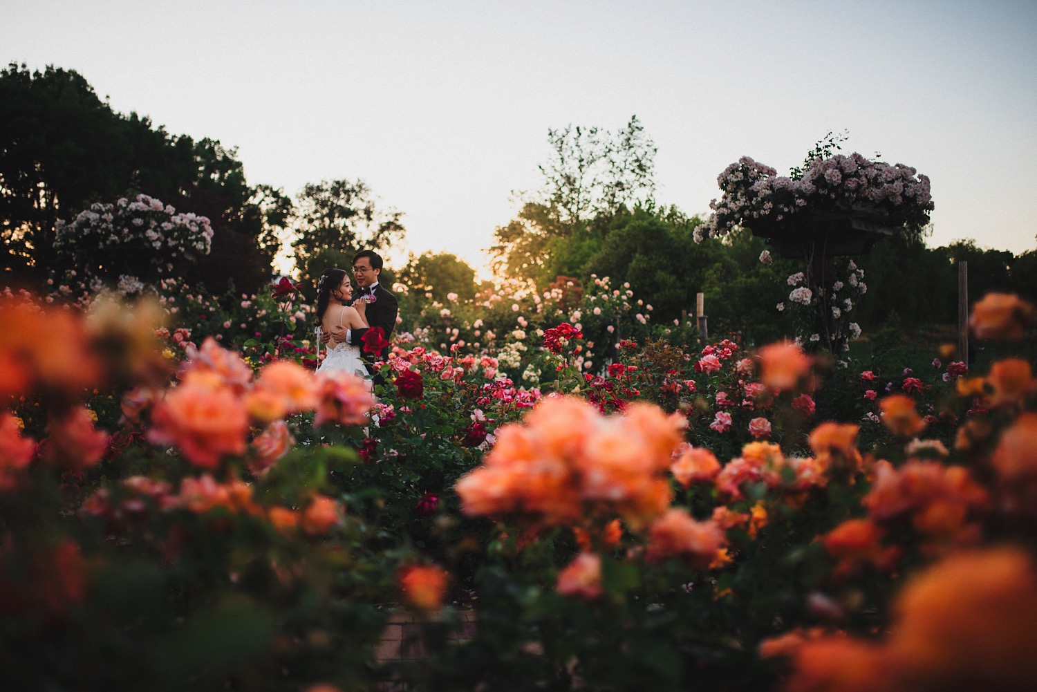 Garden at Heather Farms Wedding