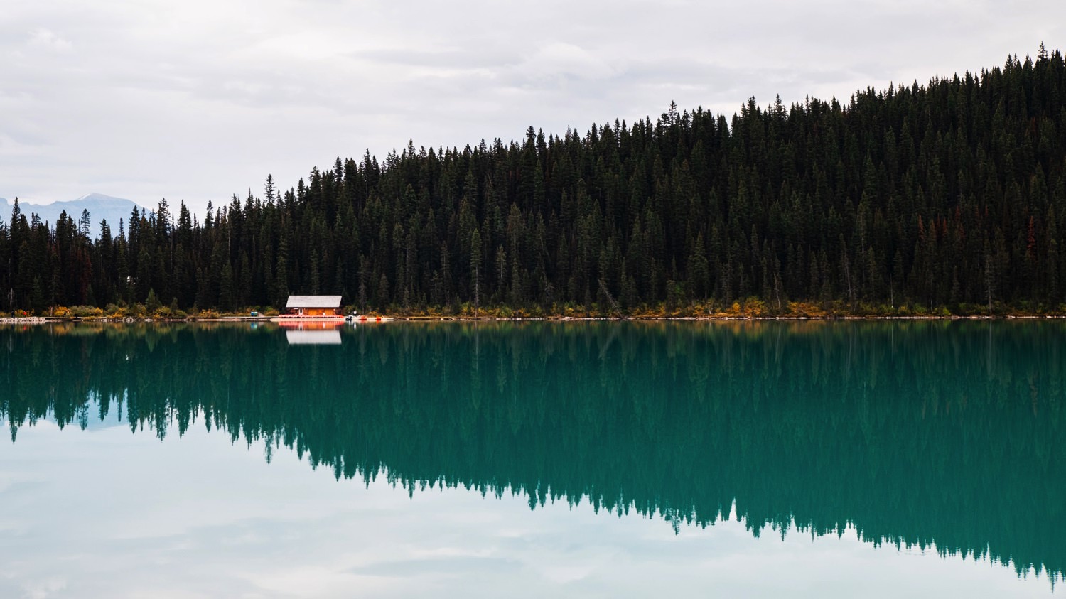 Reflecting upon Lake Louise