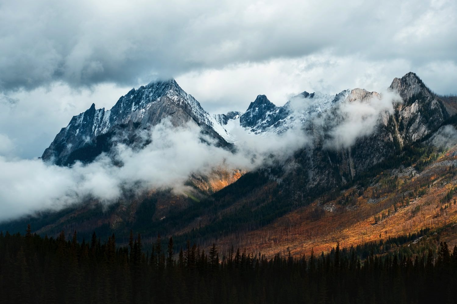 Rockies in Koontenay National Park