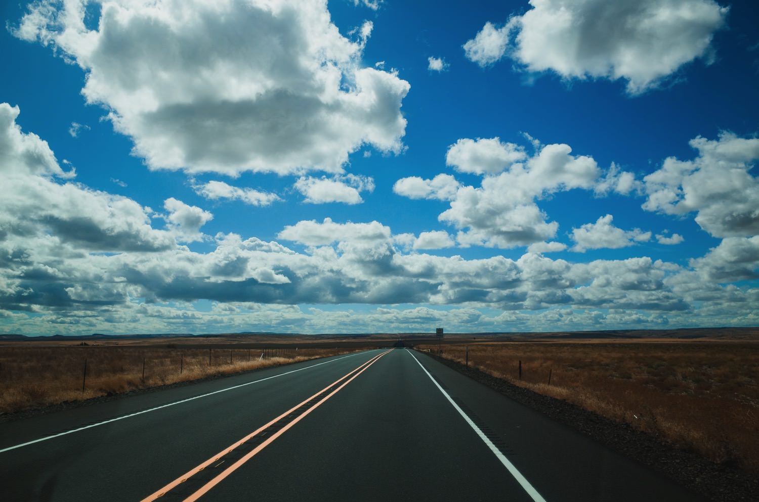 Oregonian Grasslands