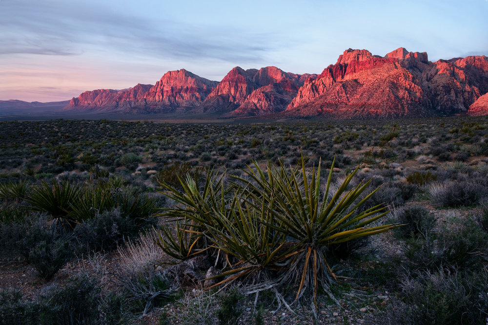 20190401_RedRockCanyon_033.jpg