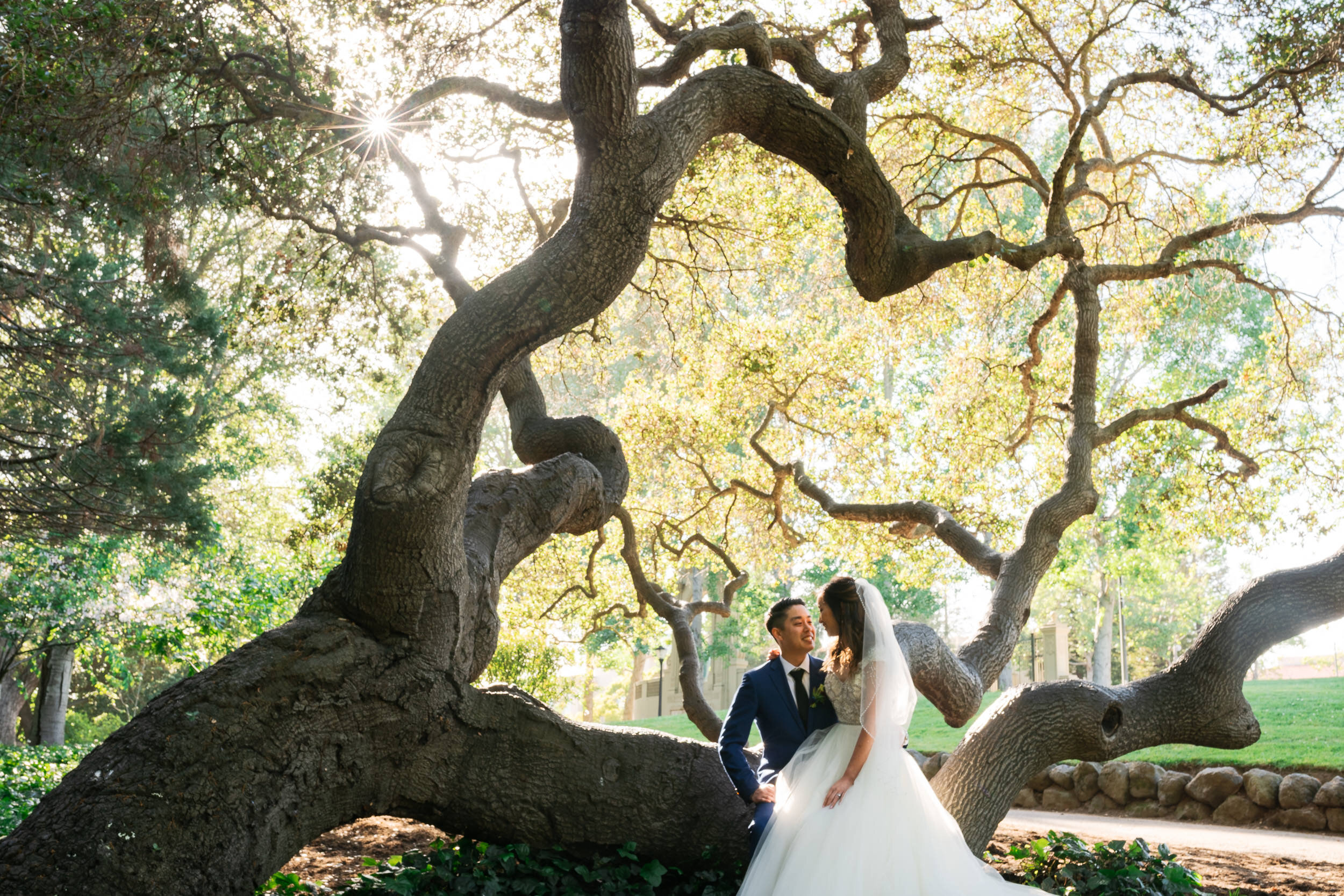 Bay Area Wedding Photographer - Trung Hoang Photography