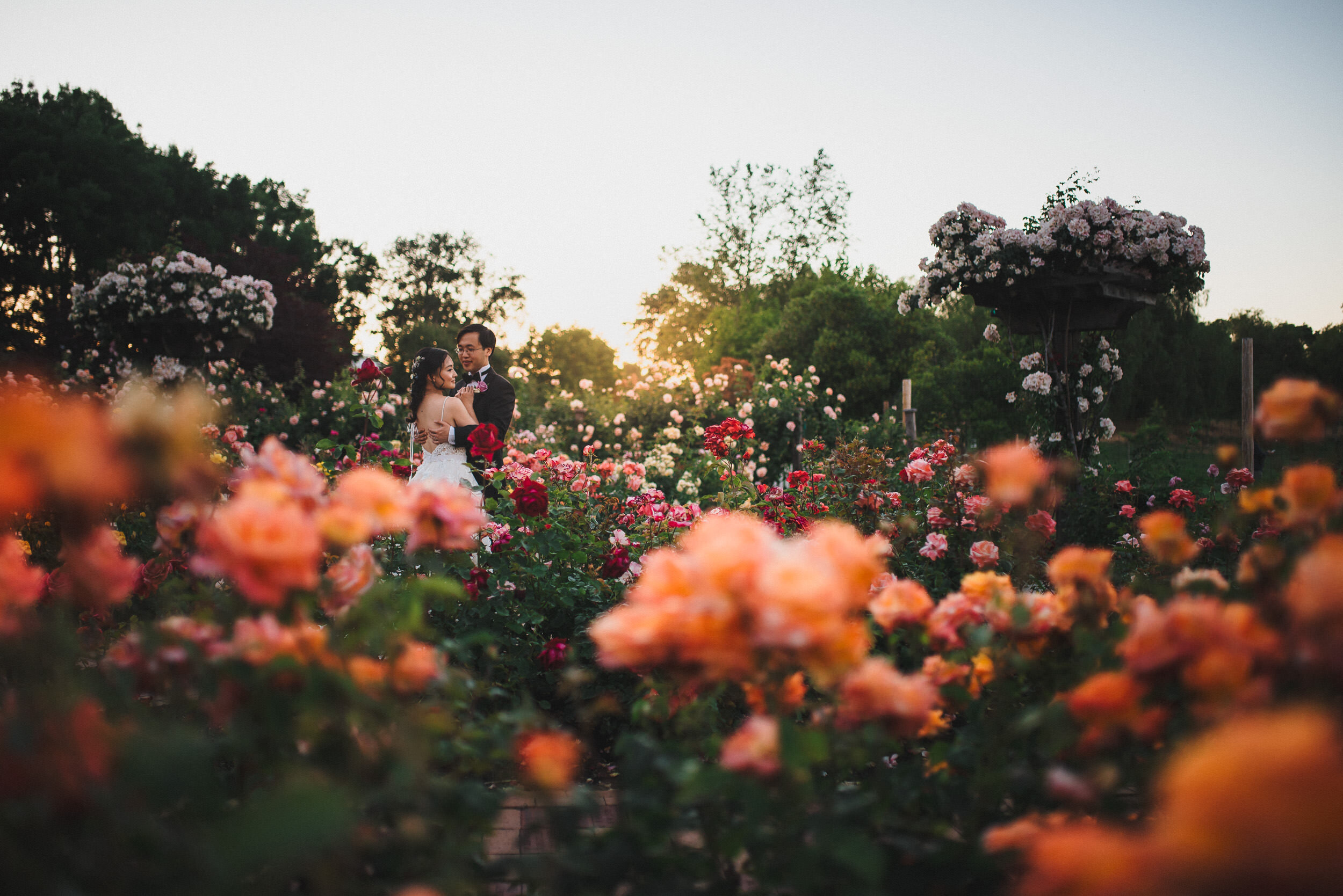 Bay Area Wedding Photographer - Trung Hoang Photography