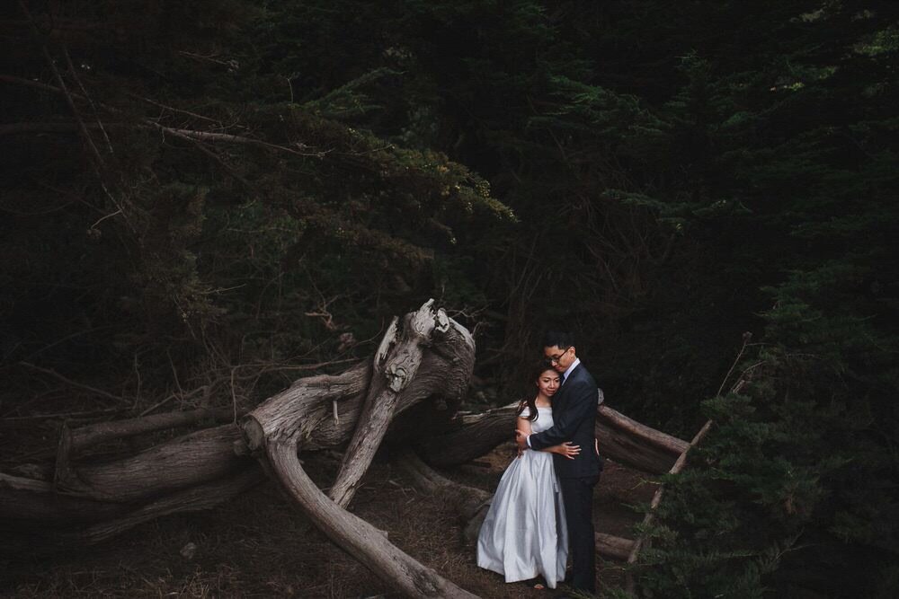 San Francisco City Hall Wedding