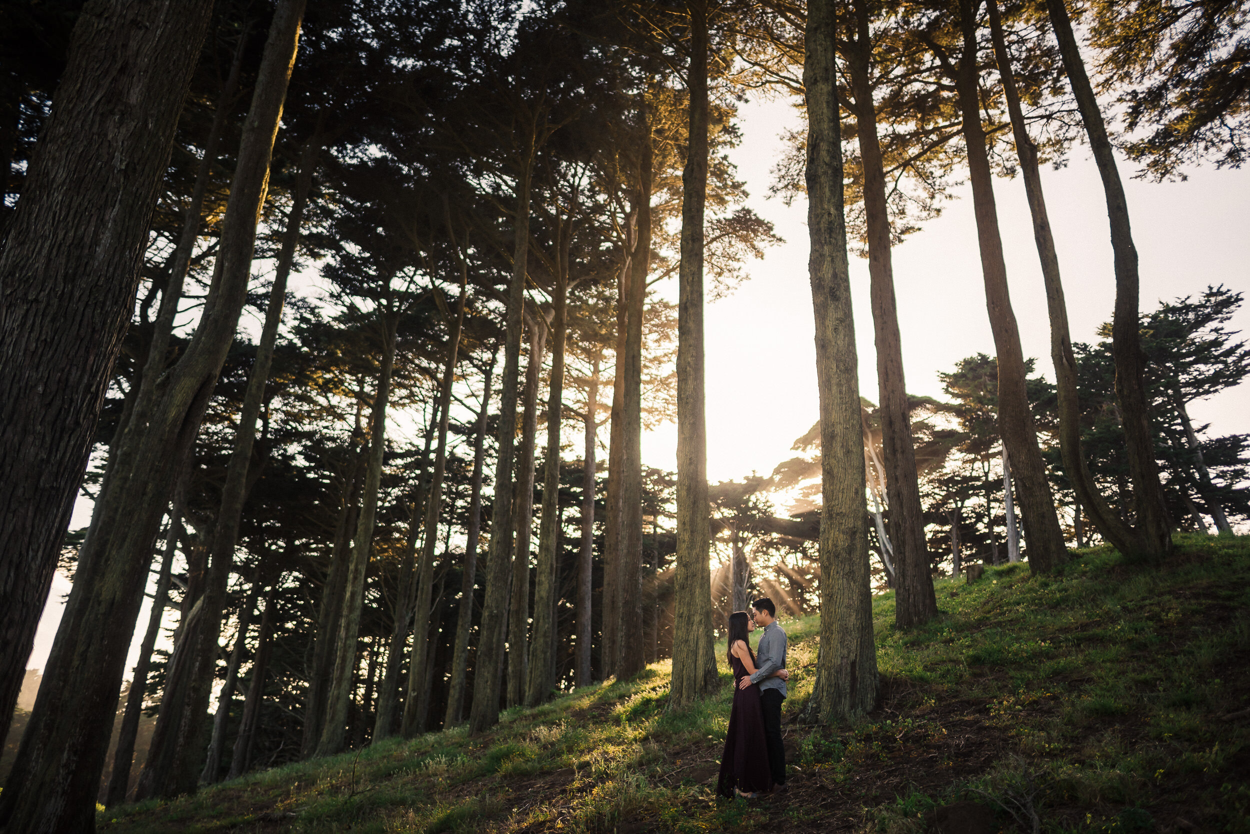 Lands End San Francisco Engagement Session