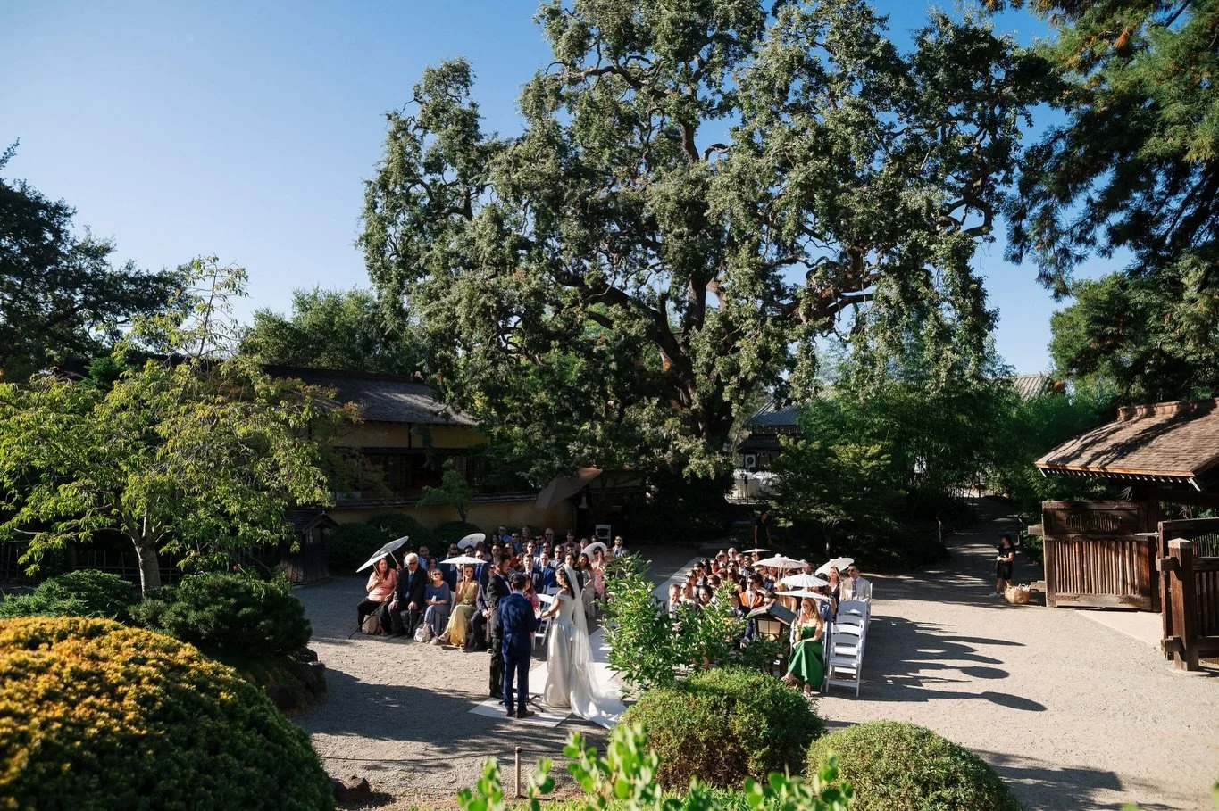 Despite being one of the venues I am most frequently at, I realized I&rsquo;ve hardly posted anything from the many weddings I&rsquo;ve had the pleasure of photographing at Hakone Gardens. Then I realized I&rsquo;ve hardly posted anything from the ma