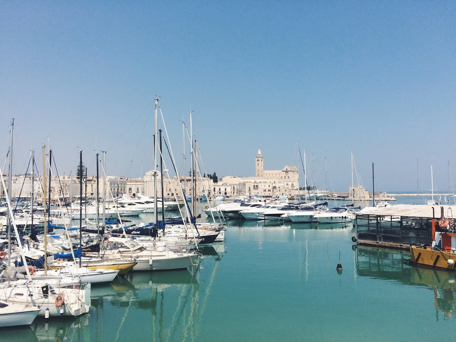 Serenity | Trani, Italy