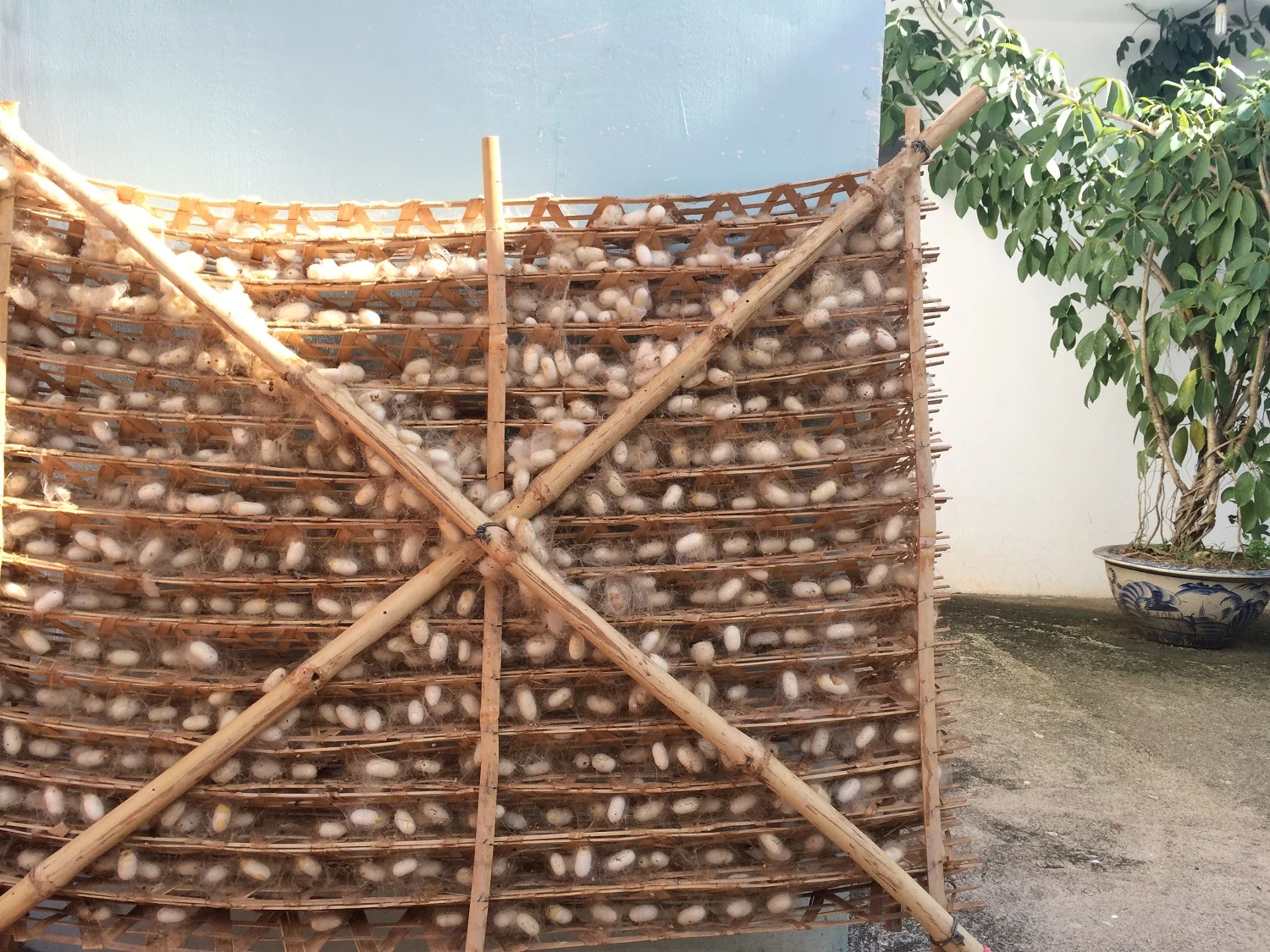 Silk Factory | Dalat, Vietnam