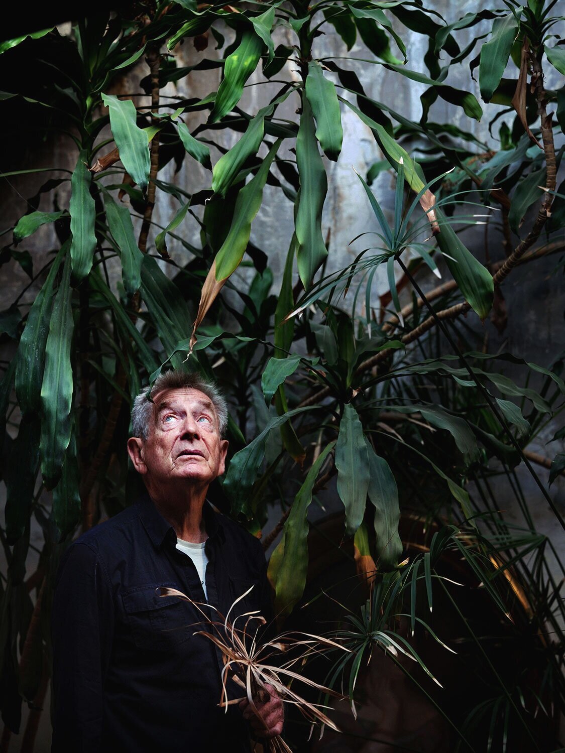 Landscaper Gilles Clément