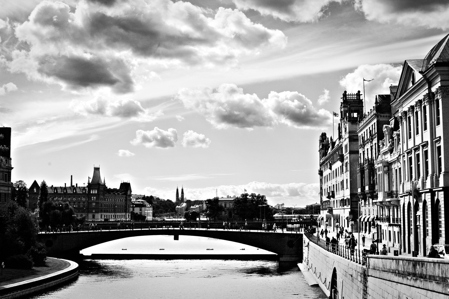 _MG_0002 copy.jpg