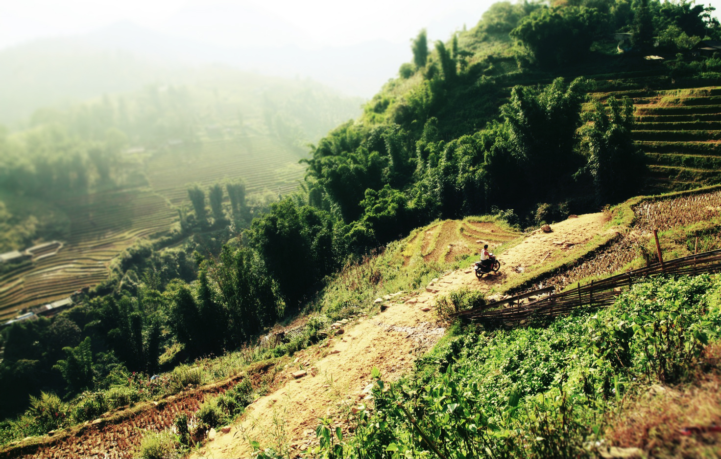 sapa3.jpg