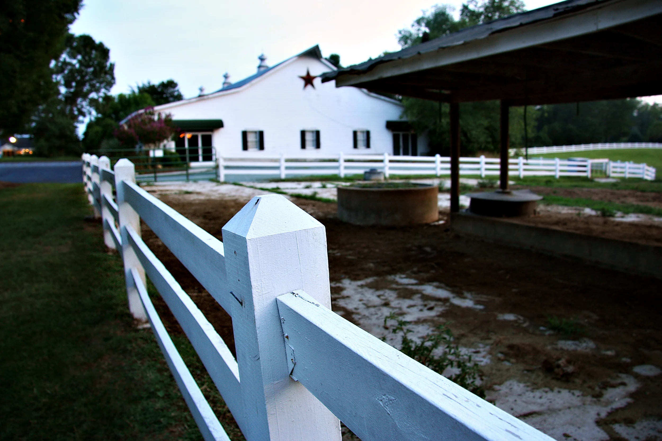 IMG_7435_2.jpg
