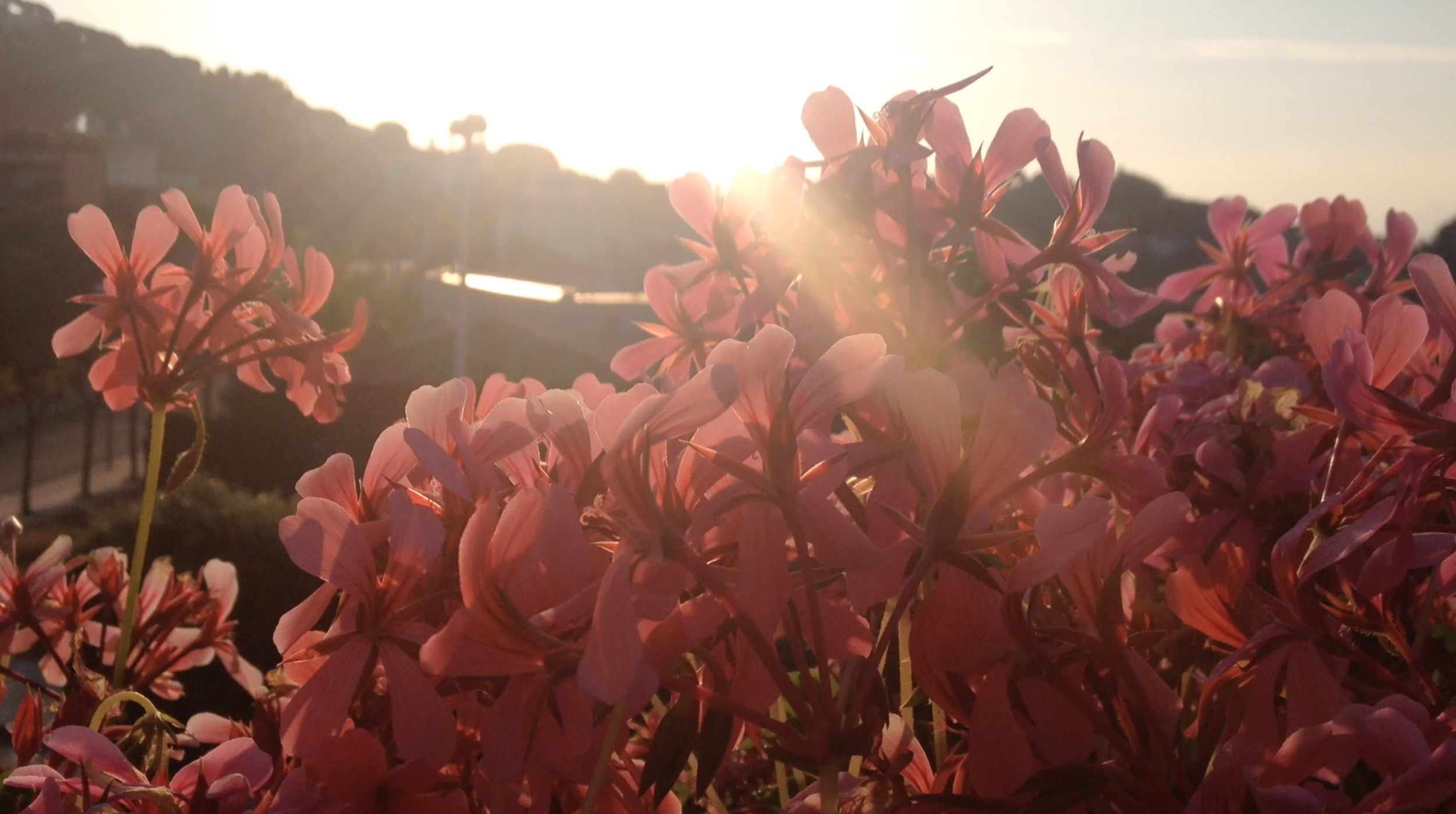 Captura de pantalla 2014-05-20 a la(s) 07.49.11.png