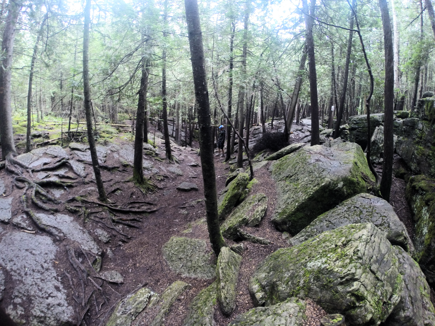 Petroglyphs and Warsaw Caves 