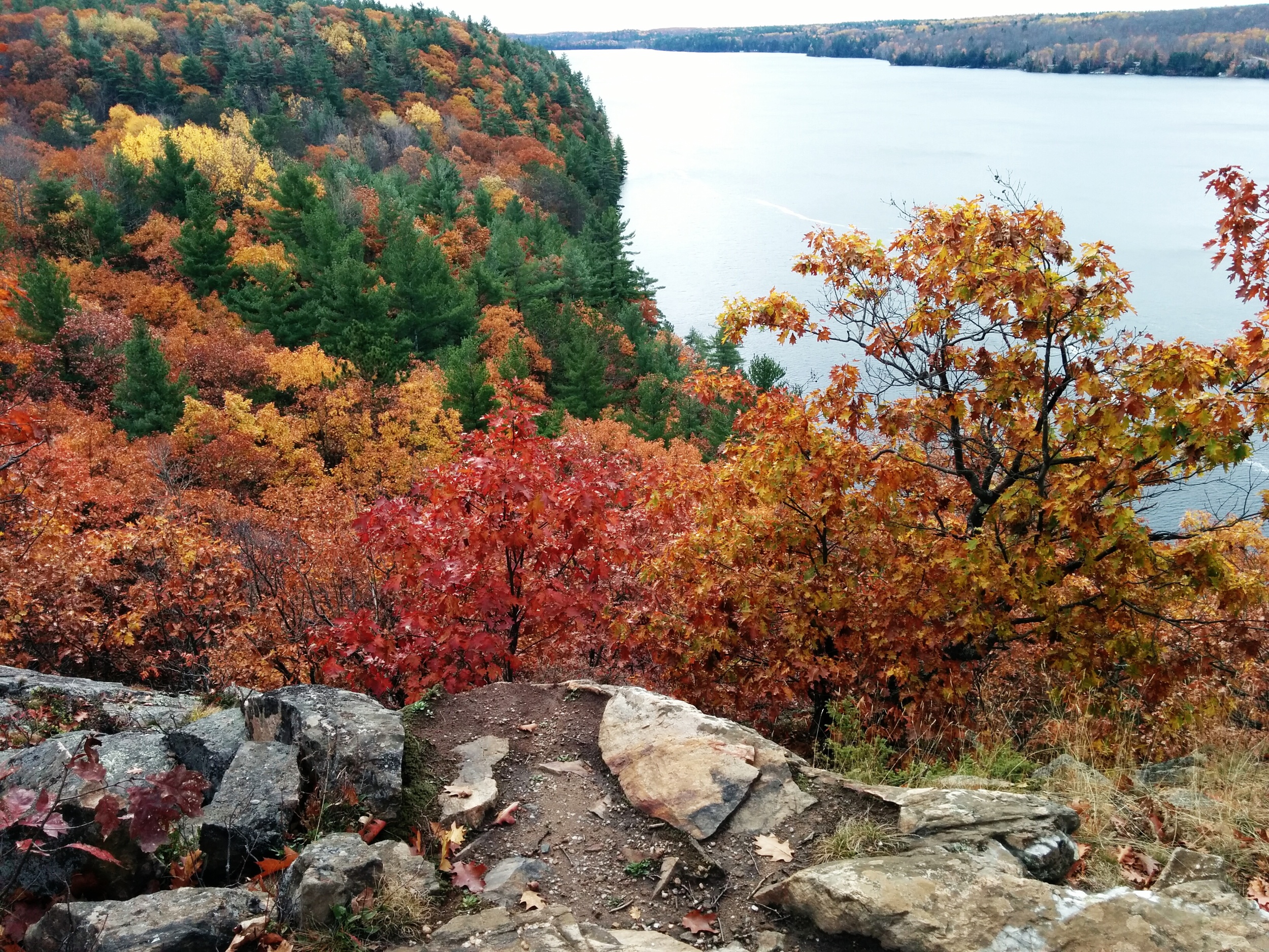 Fall Colours at Bon Echo